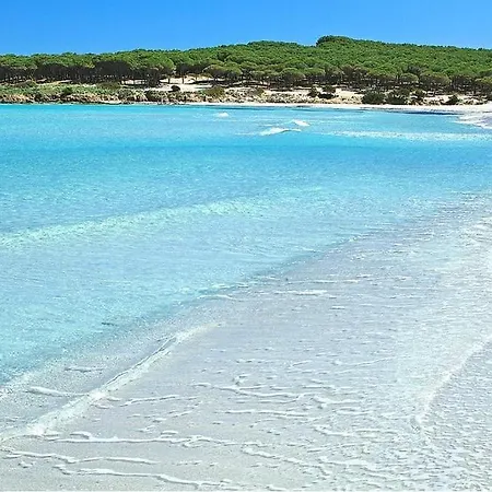 3min Dalla Spiaggia, Elegante A Appartement